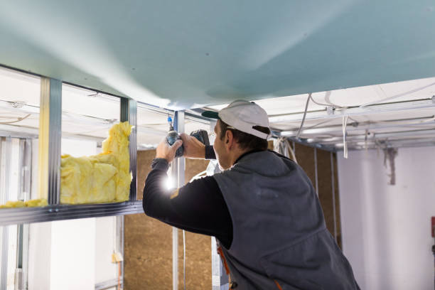 Best Professional Insulation Contractor  in Monticello, WI