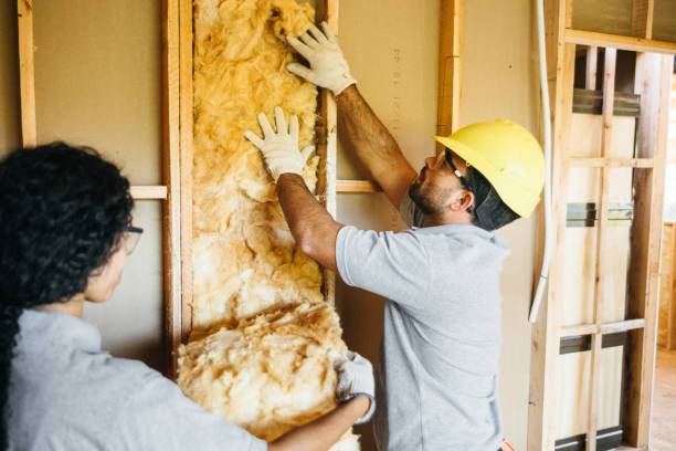 Best Insulation Removal  in Monticello, WI