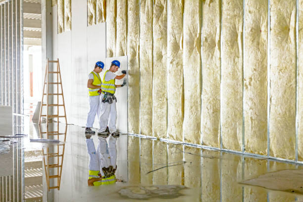 Insulation Repair Services in Monticello, WI